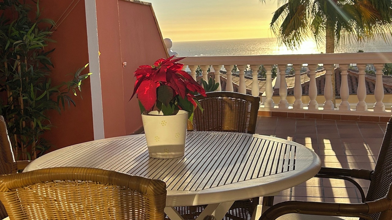 Photo of Outdoor in El Duque