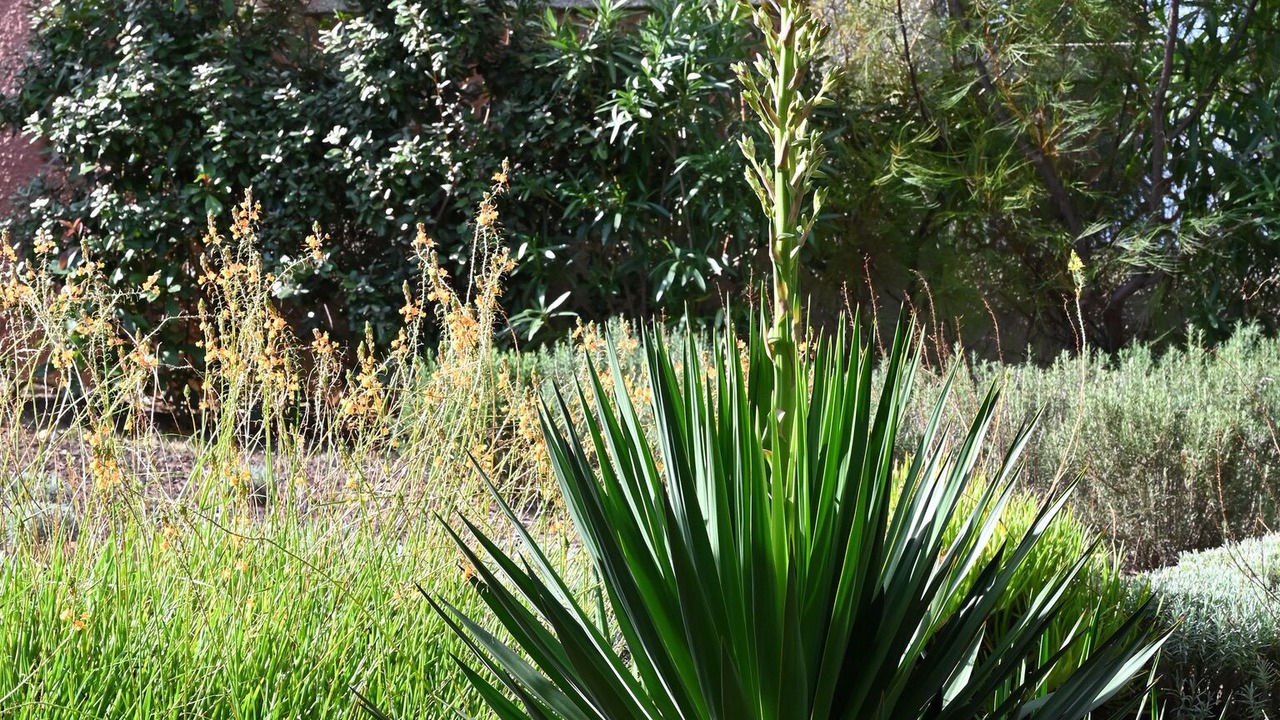 Photo of Outdoor in Le Brusc