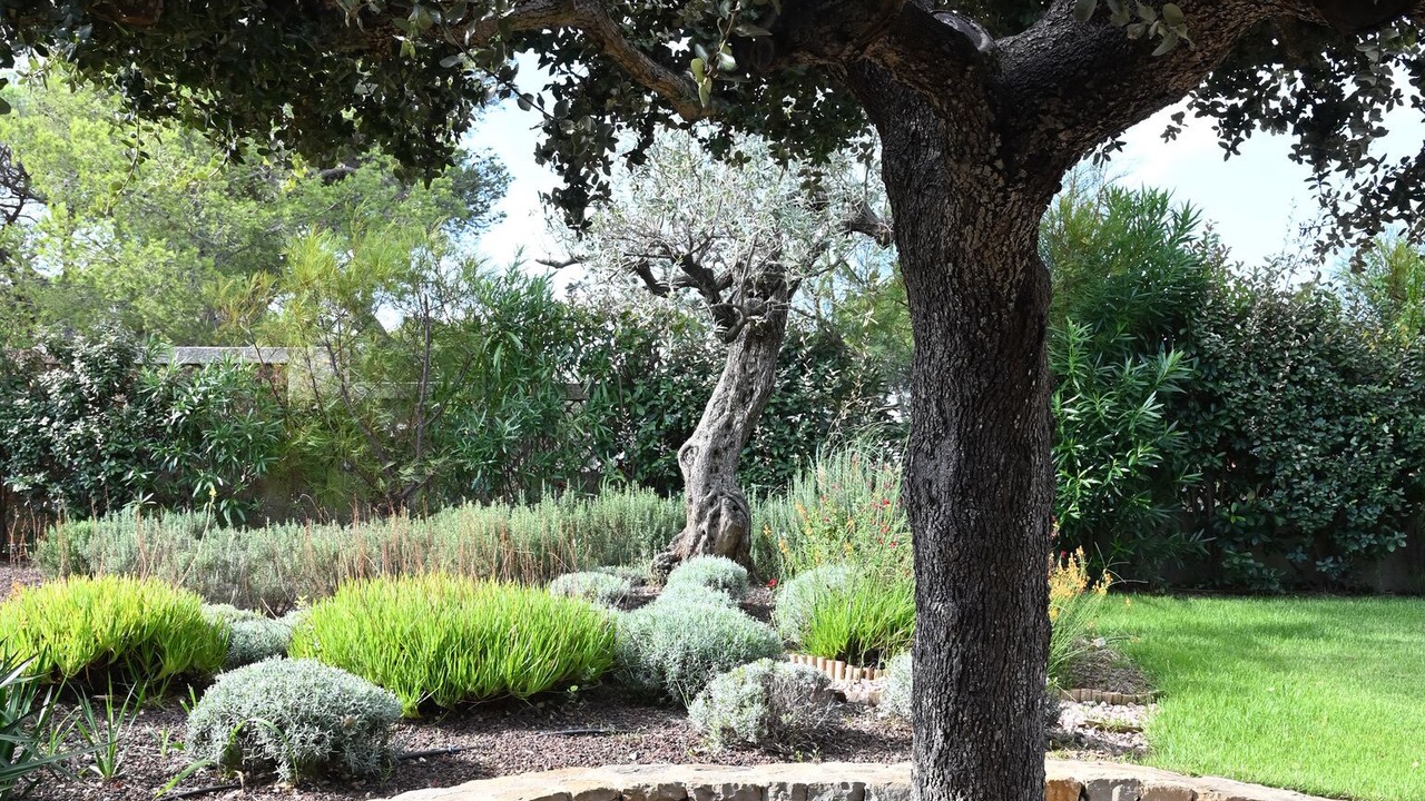Photo of Outdoor in Le Brusc
