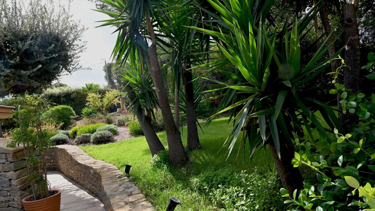 Photo of Outdoor in Le Brusc