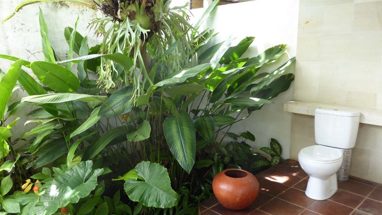 Photo of Outdoor in Ubud City-Centre