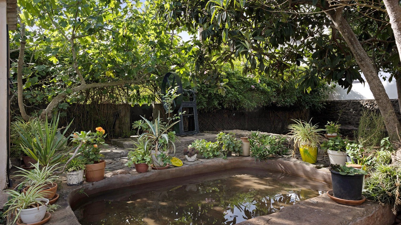 Photo of Outdoor in San Cristobal de La Laguna