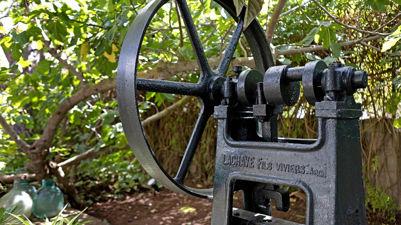 Photo of Outdoor in San Cristobal de La Laguna