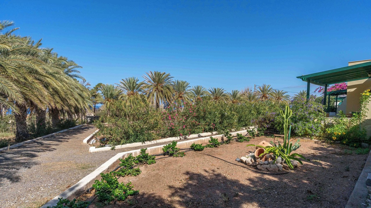 Photo of Outdoor in Ayia Fotia