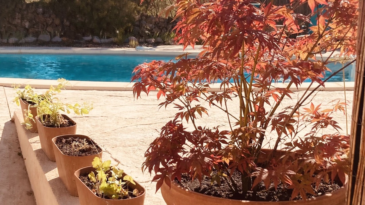 Photo of Outdoor in Seillons-Source-d'Argens