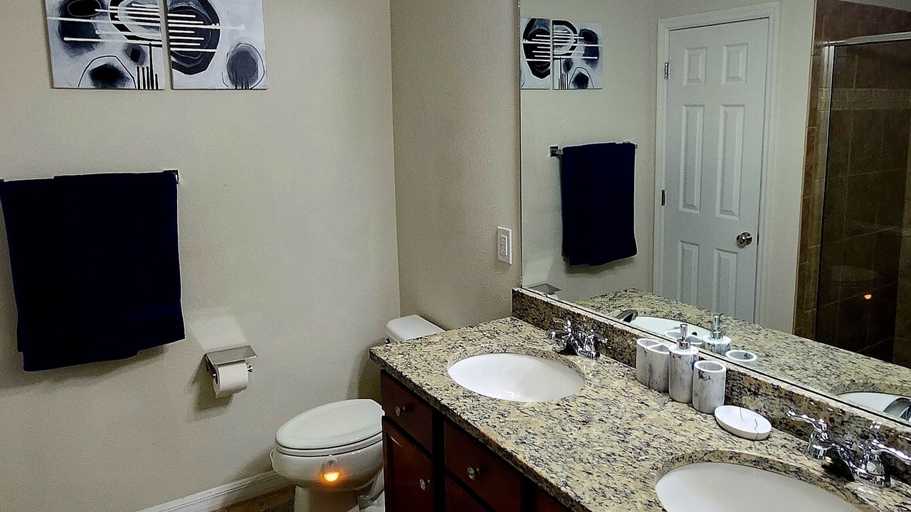 Photo of Bathroom in Sun City Center