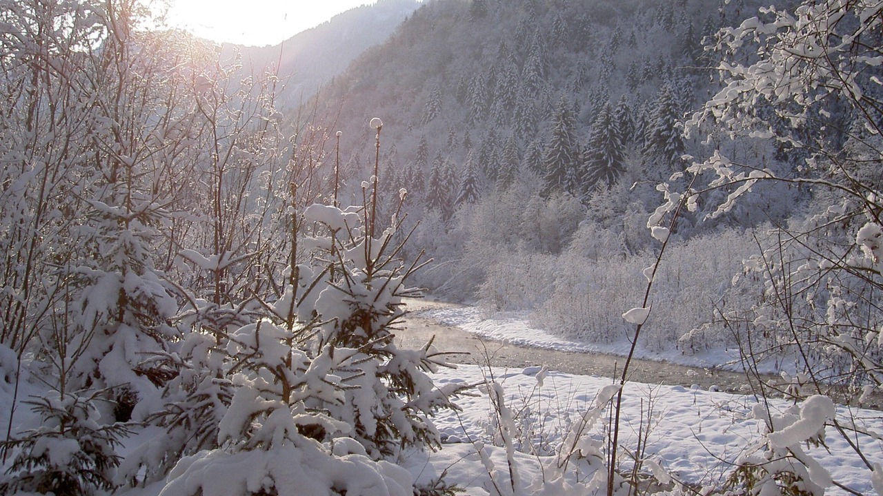 Photo of Others in Samoens