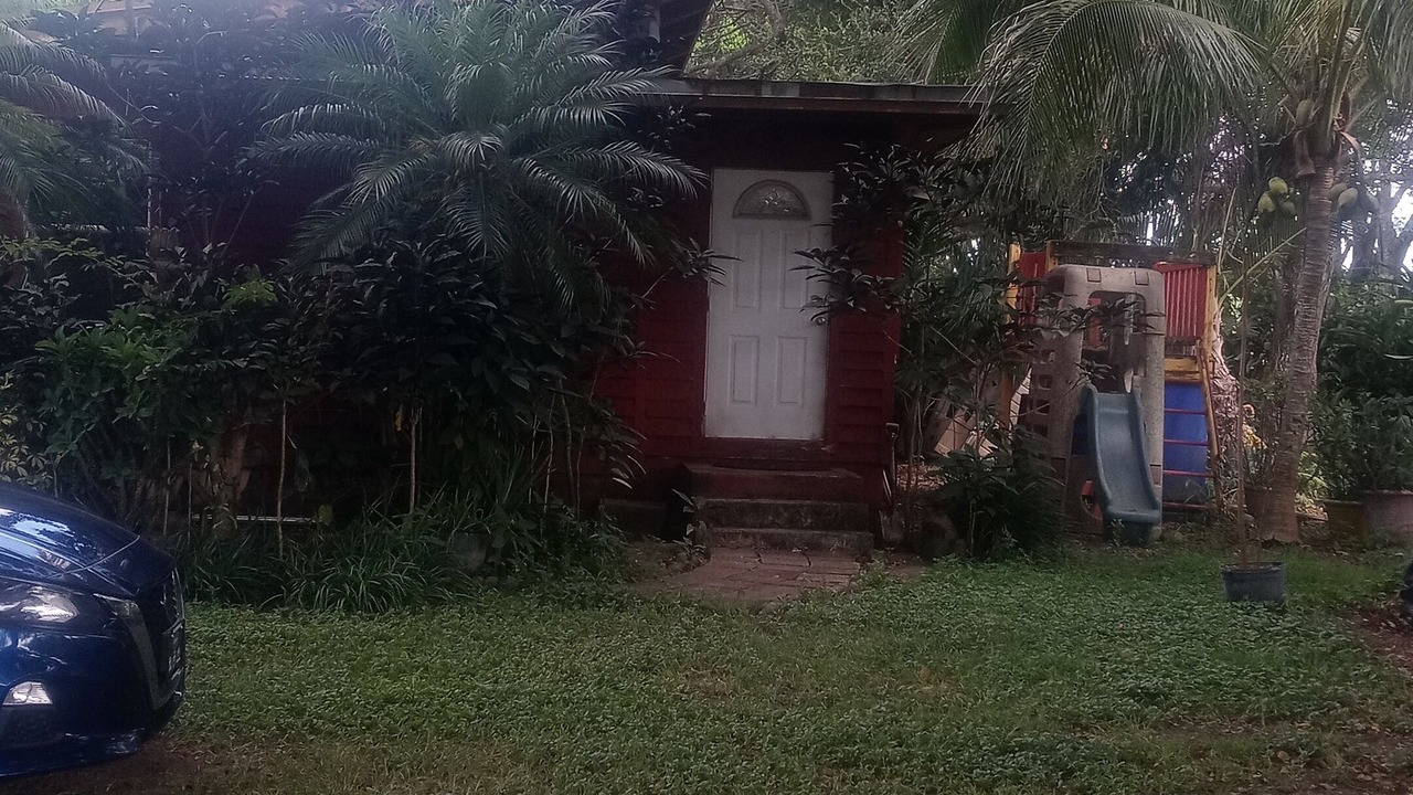 Photo of Outdoor in Ludlam