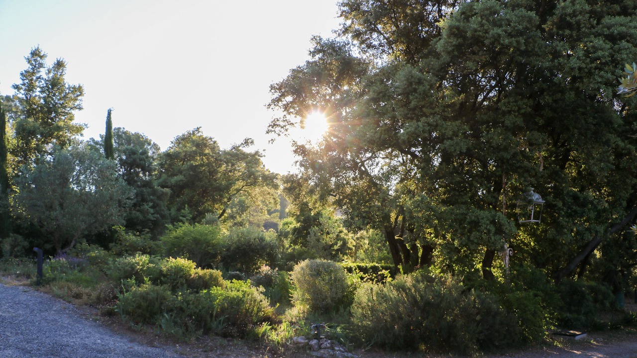 Photo of Outdoor in Salernes