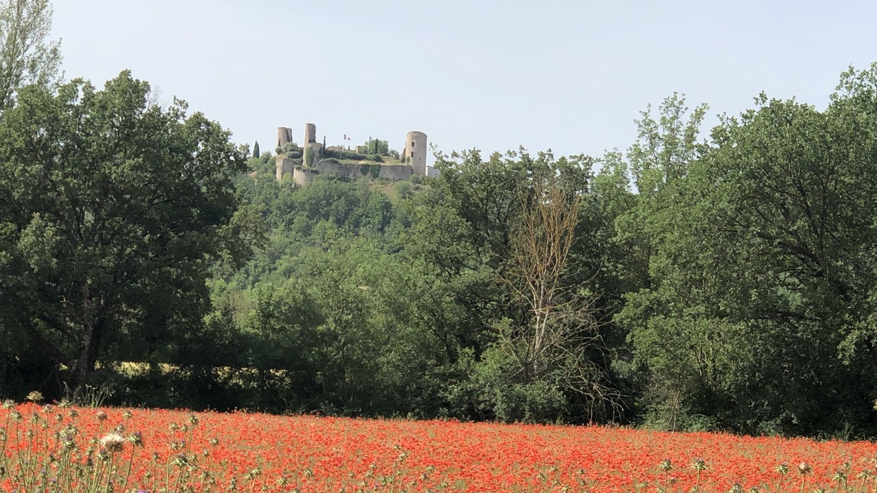 Photo of Outdoor in Ponteves