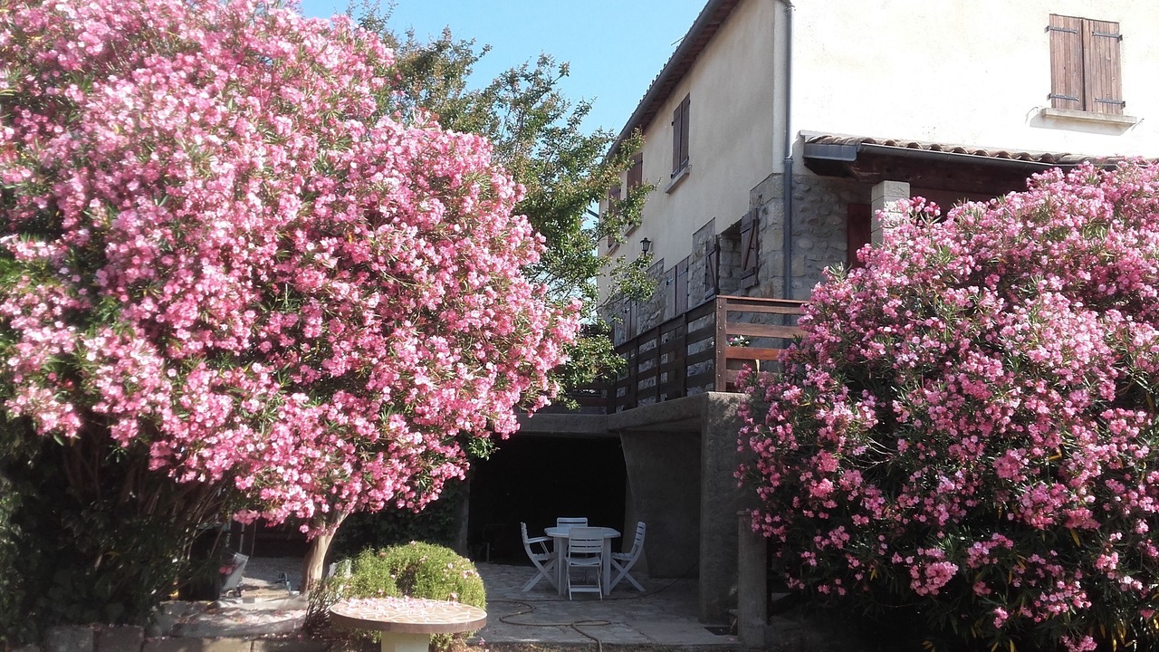 Photo of Outdoor in Aubenas