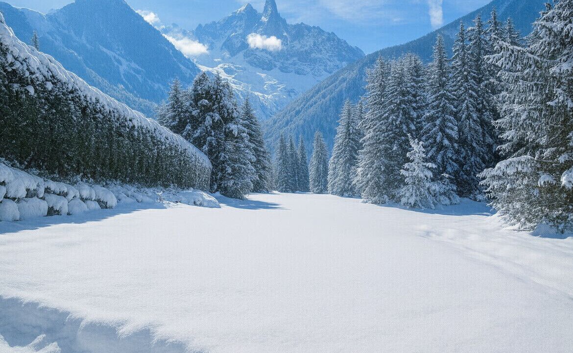 Photo of Others in Les Praz-de-Chamonix