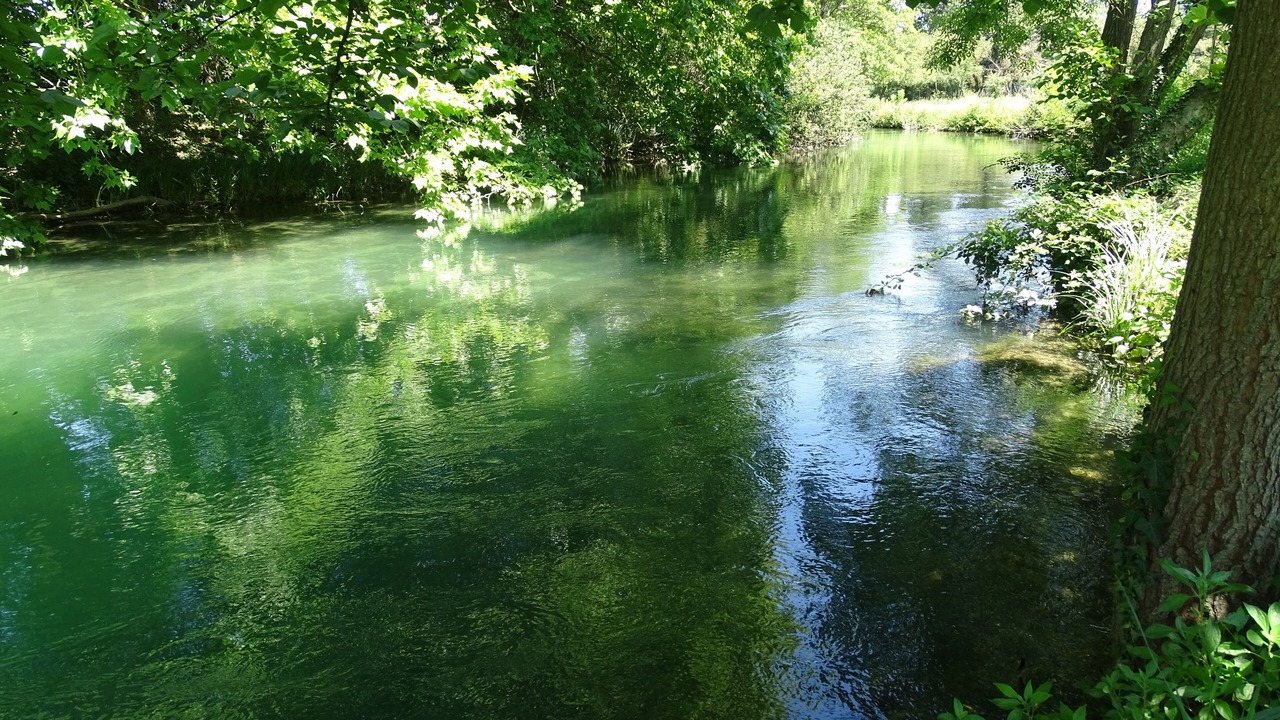 Photo of Outdoor in Velleron