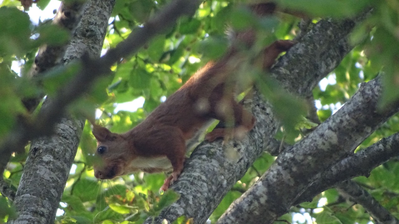 Photo of Outdoor in Velleron