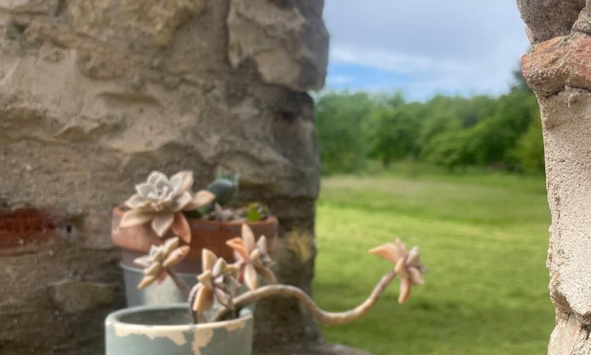 Photo of Outdoor in Vezenobres