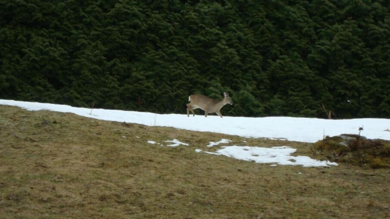 Photo of Outdoor in Saint-Gervais-les-Bains