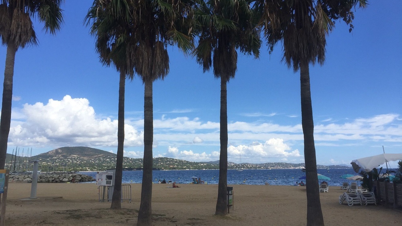 Photo of Others in Port Cogolin