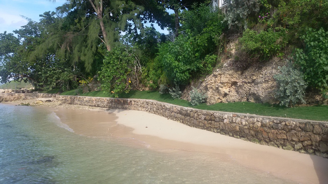 Photo of Others in Rio Bueno
