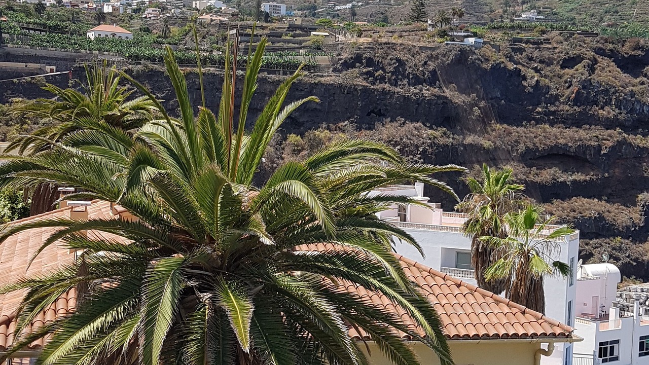 Photo of Outdoor in San Marcos