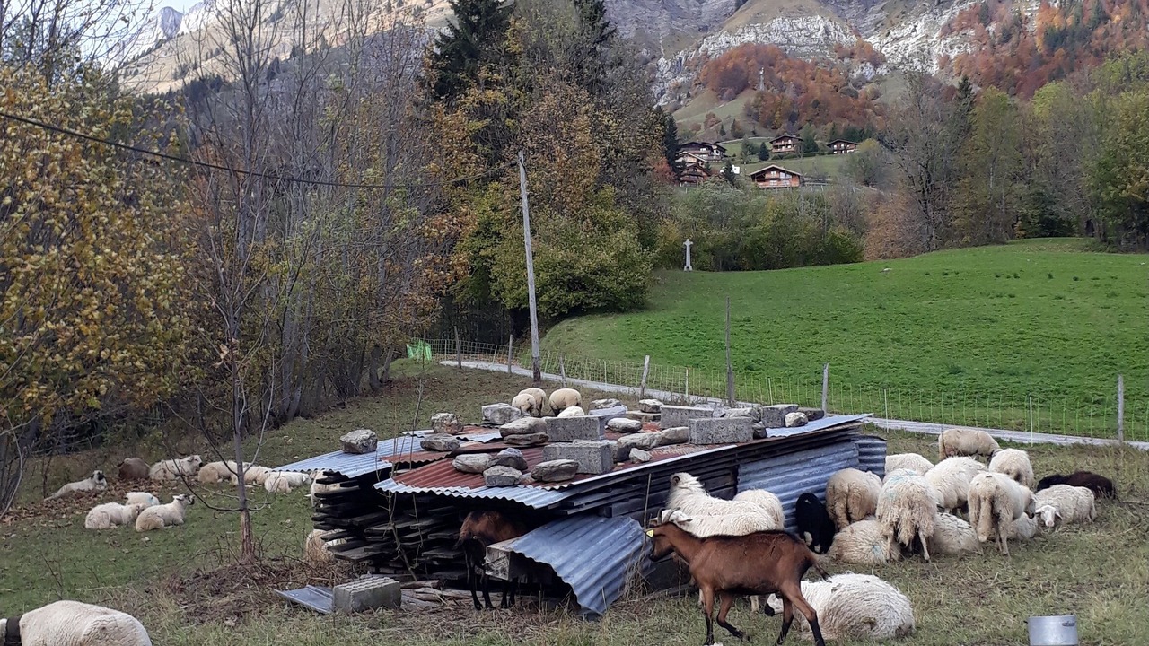 Photo of Outdoor in La Giettaz