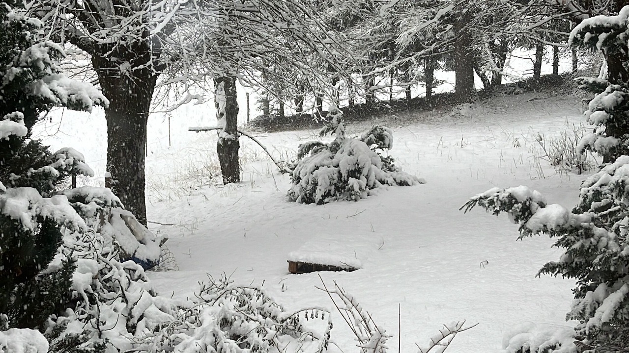 Photo of Outdoor in Les Contamines-Montjoie