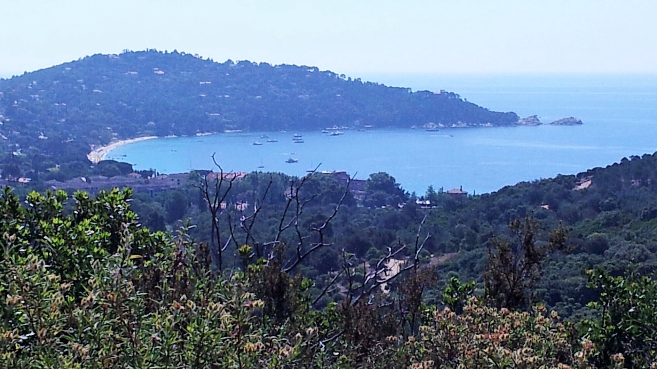 Photo of Others in Cavaliere