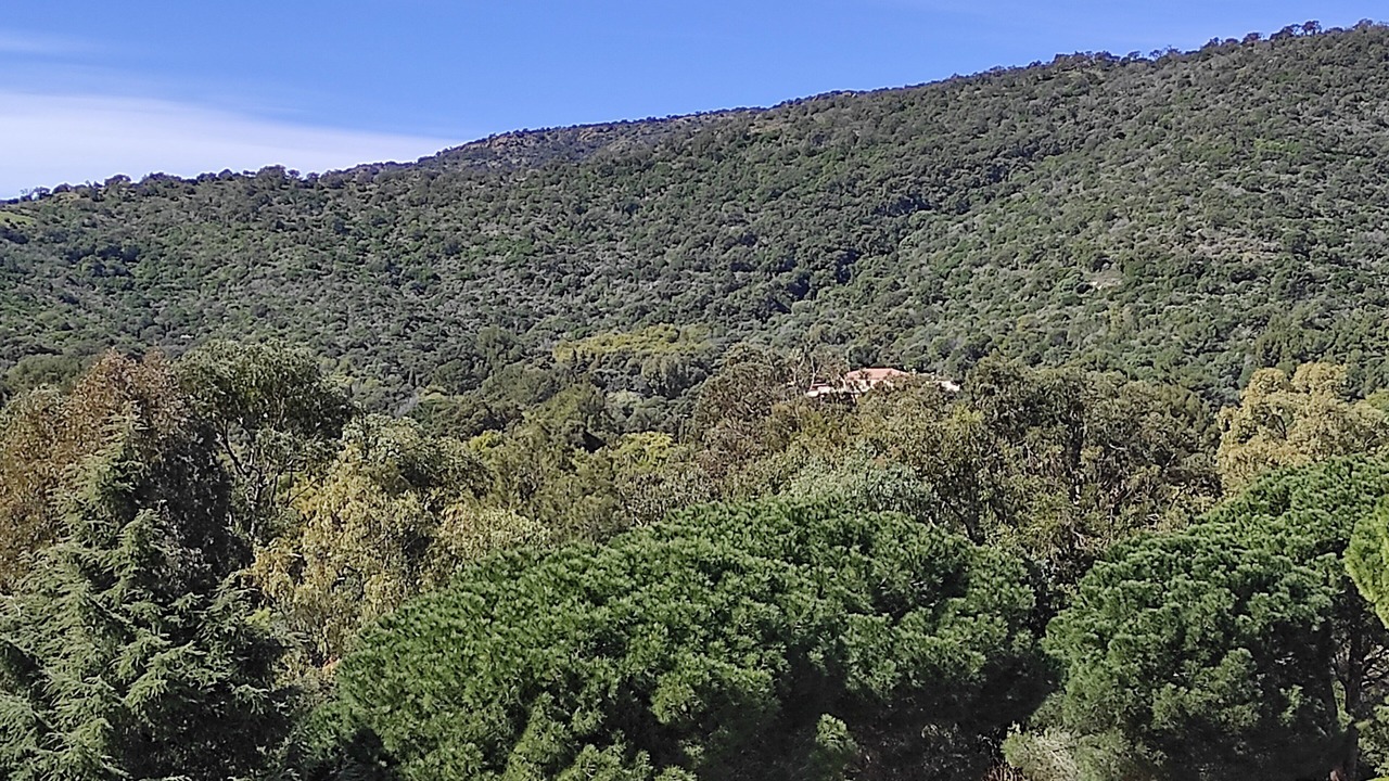 Photo of Others in Cavaliere