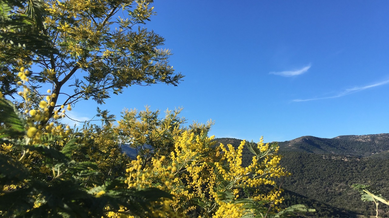 Photo of Outdoor in Flayosc