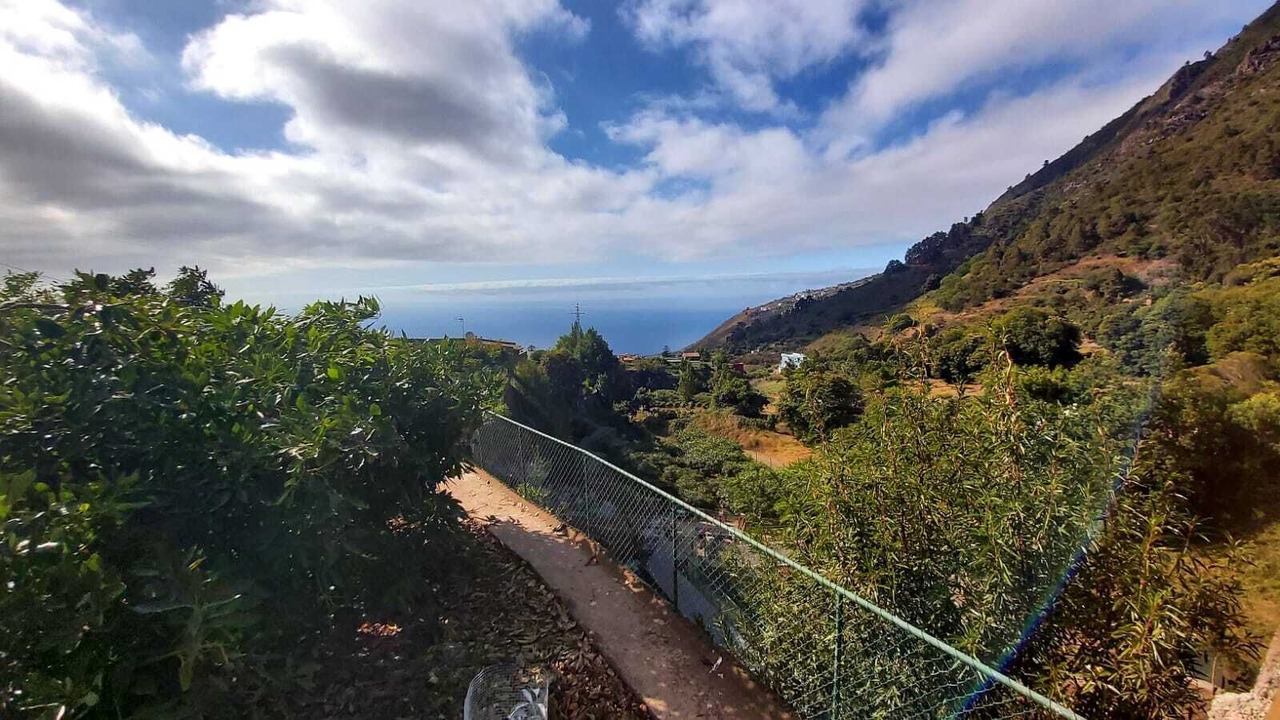 Photo of Outdoor in La Orotava
