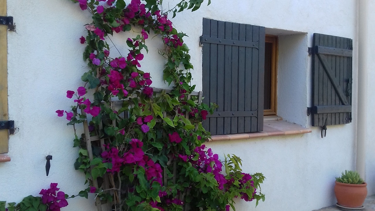 Photo of Outdoor in Saint-Chamas