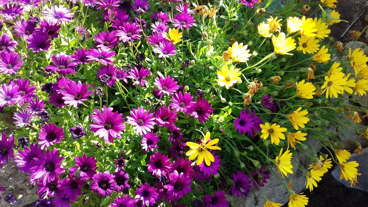 Photo of Outdoor in Saint-Chamas