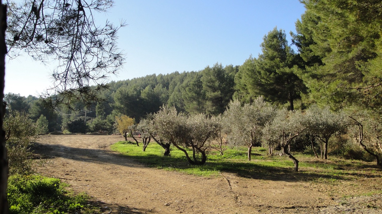 Photo of Outdoor in Saint-Chamas