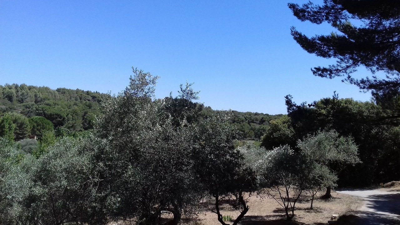 Photo of Outdoor in Saint-Chamas