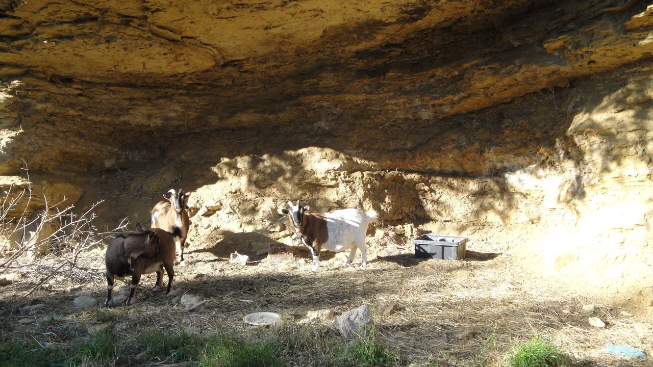Photo of Outdoor in Saint-Chamas