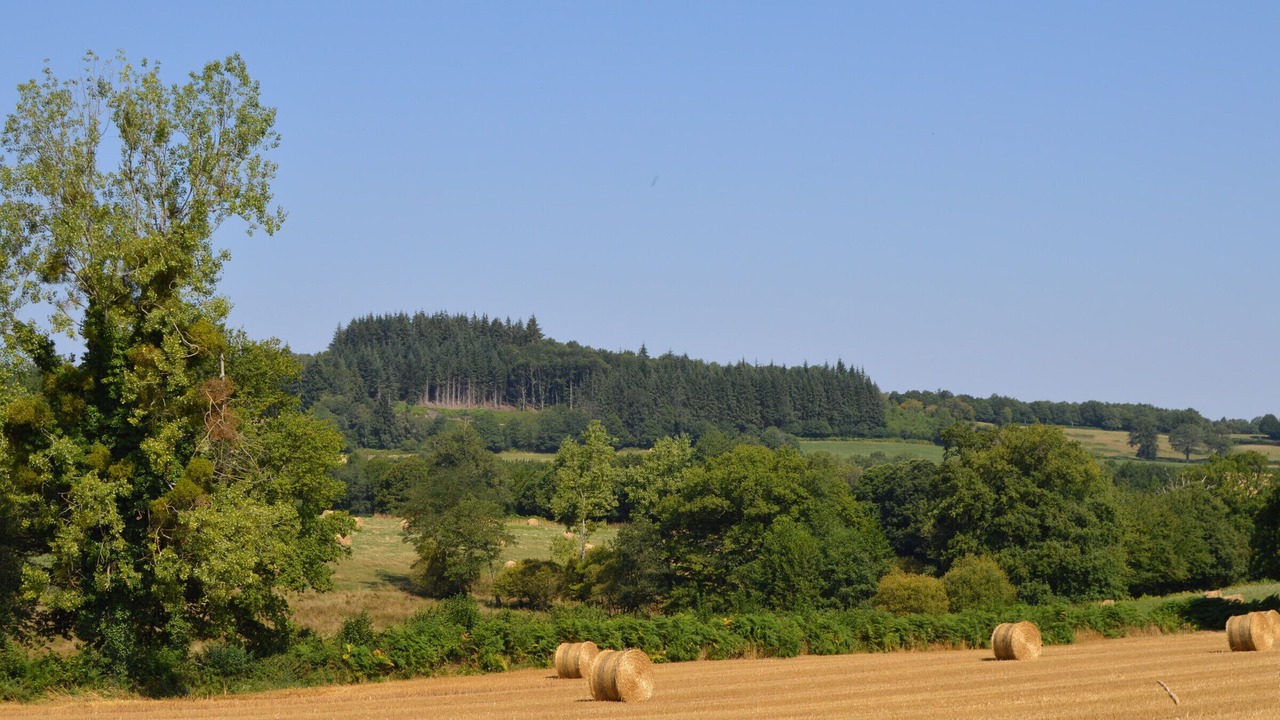 Photo of Others in Pouligny-Notre-Dame
