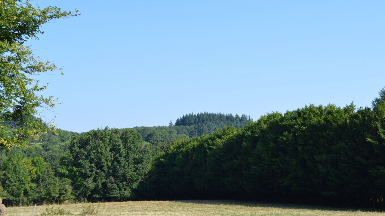 Photo of Others in Pouligny-Notre-Dame