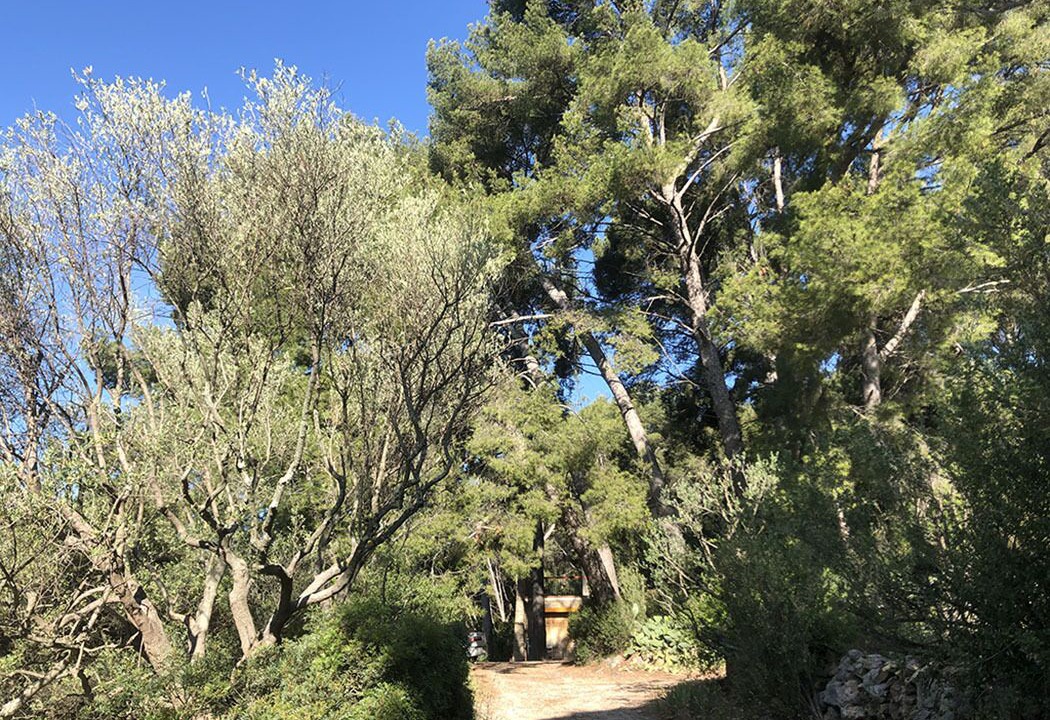 Photo of Outdoor in Le Castellet