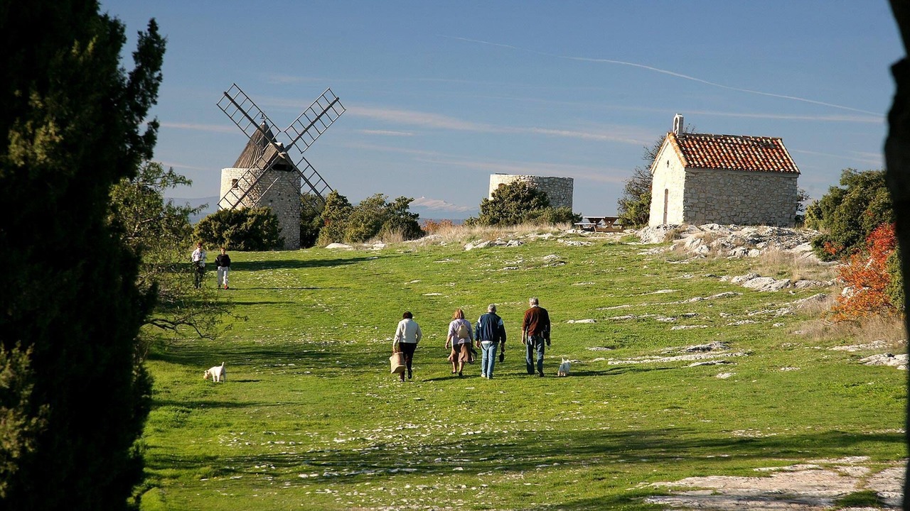 Photo of Others in Saint-Julien