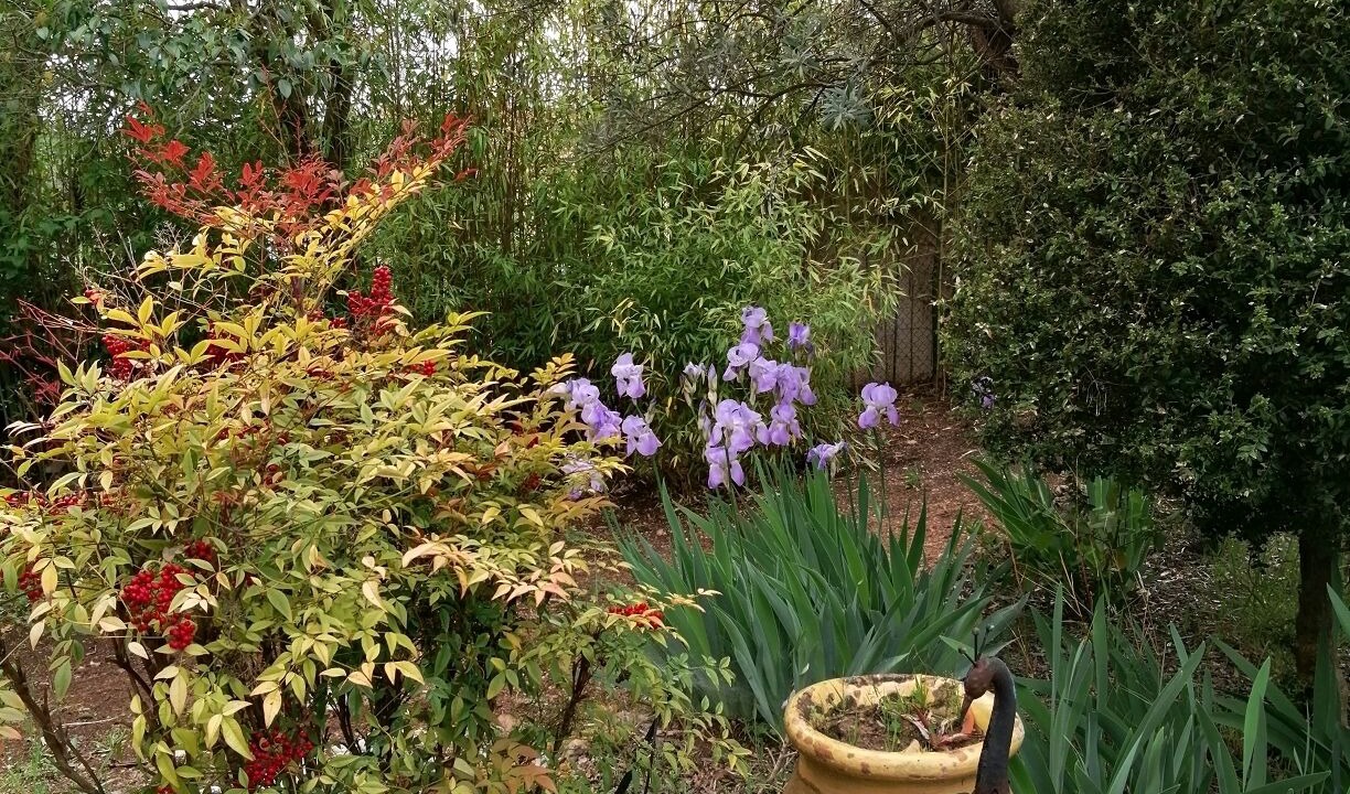 Photo of Outdoor in Flayosc