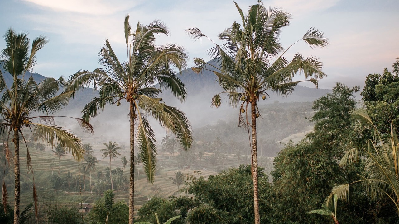 Photo of Outdoor in Laksmana