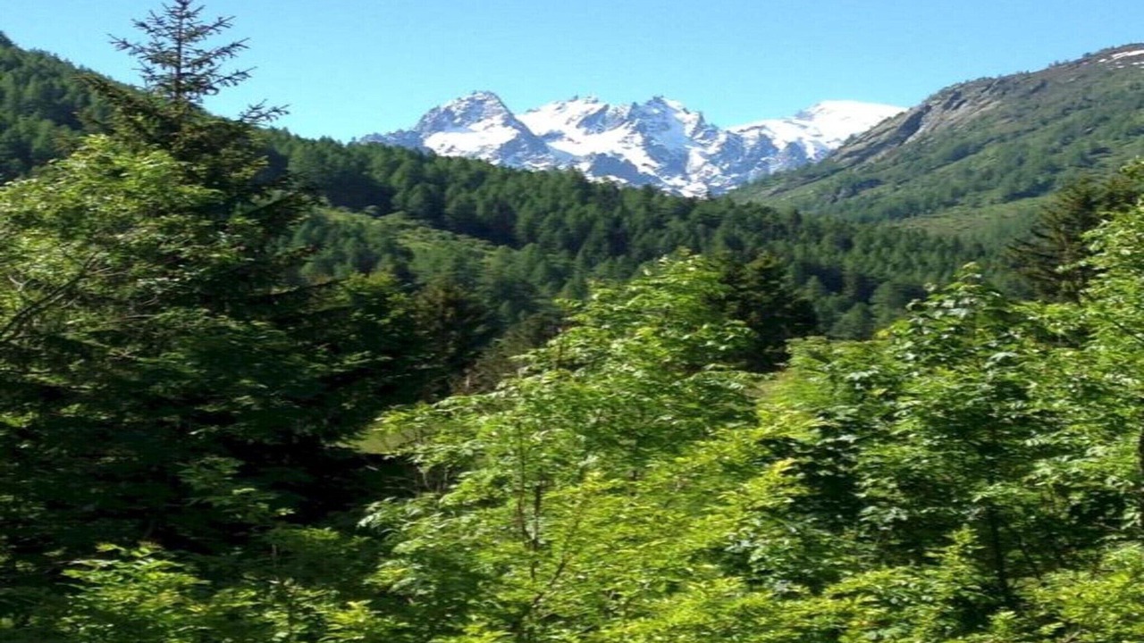 Photo of Others in Vallorcine
