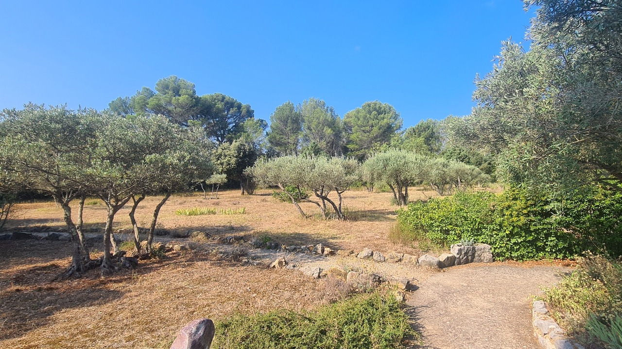 Photo of Outdoor in Salernes