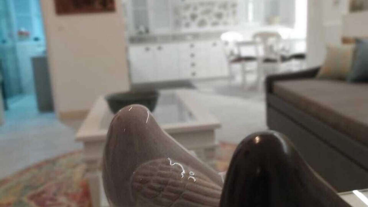 Photo of Others in Pothia