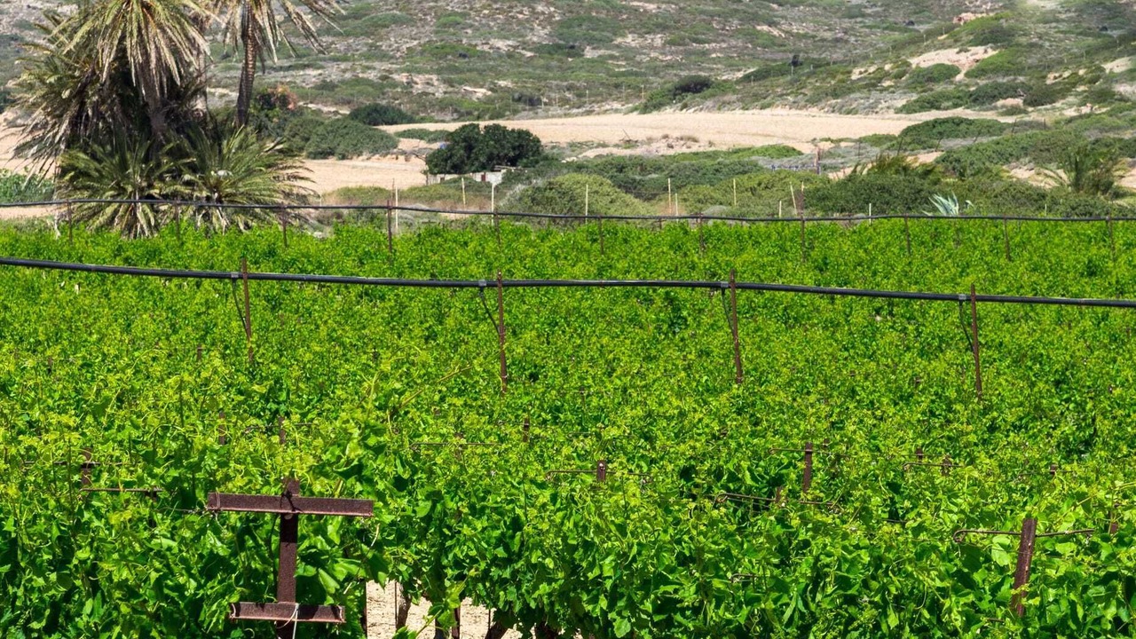 Photo of Outdoor in Sitia