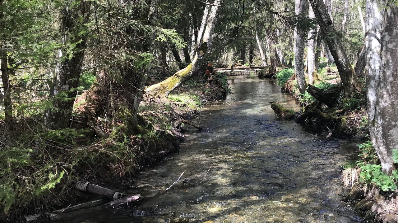 Photo of Outdoor in Les Contamines-Montjoie