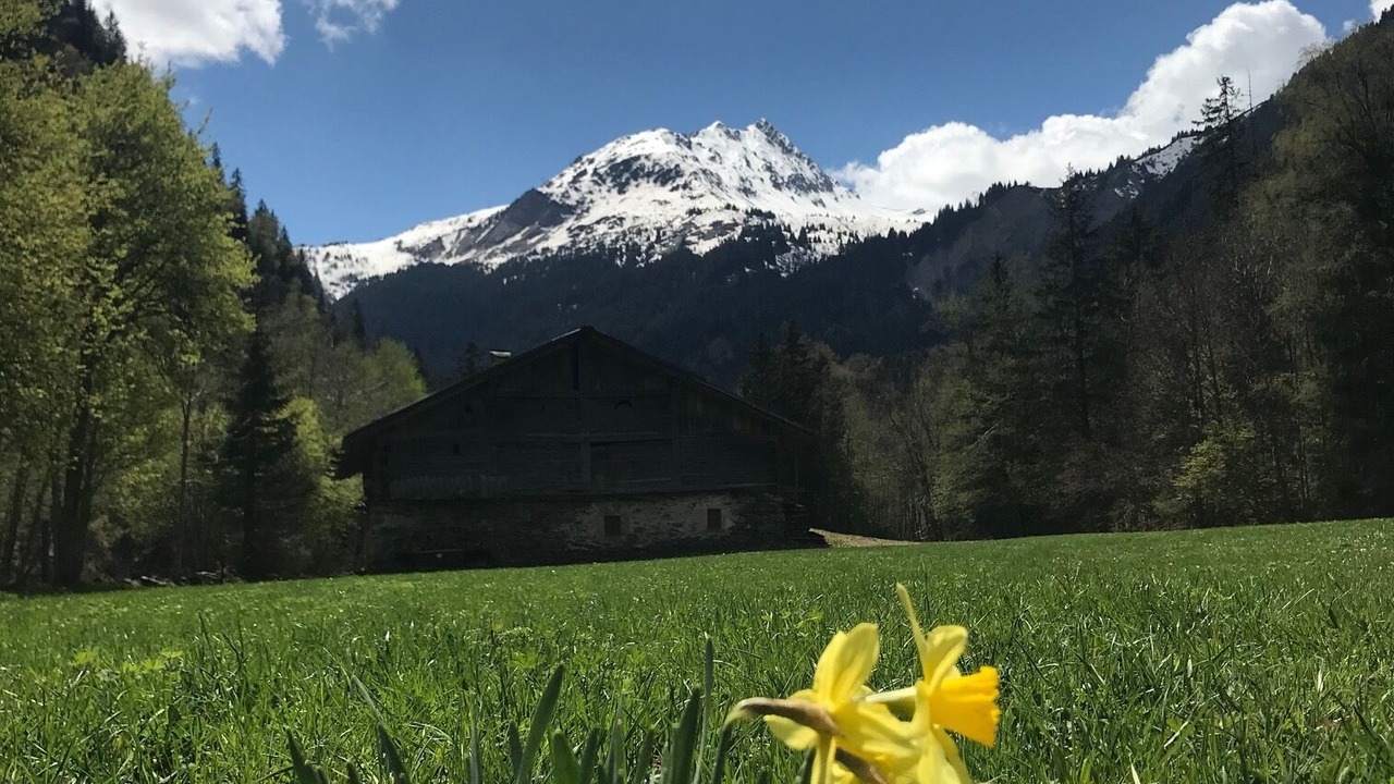Photo of Outdoor in Les Contamines-Montjoie