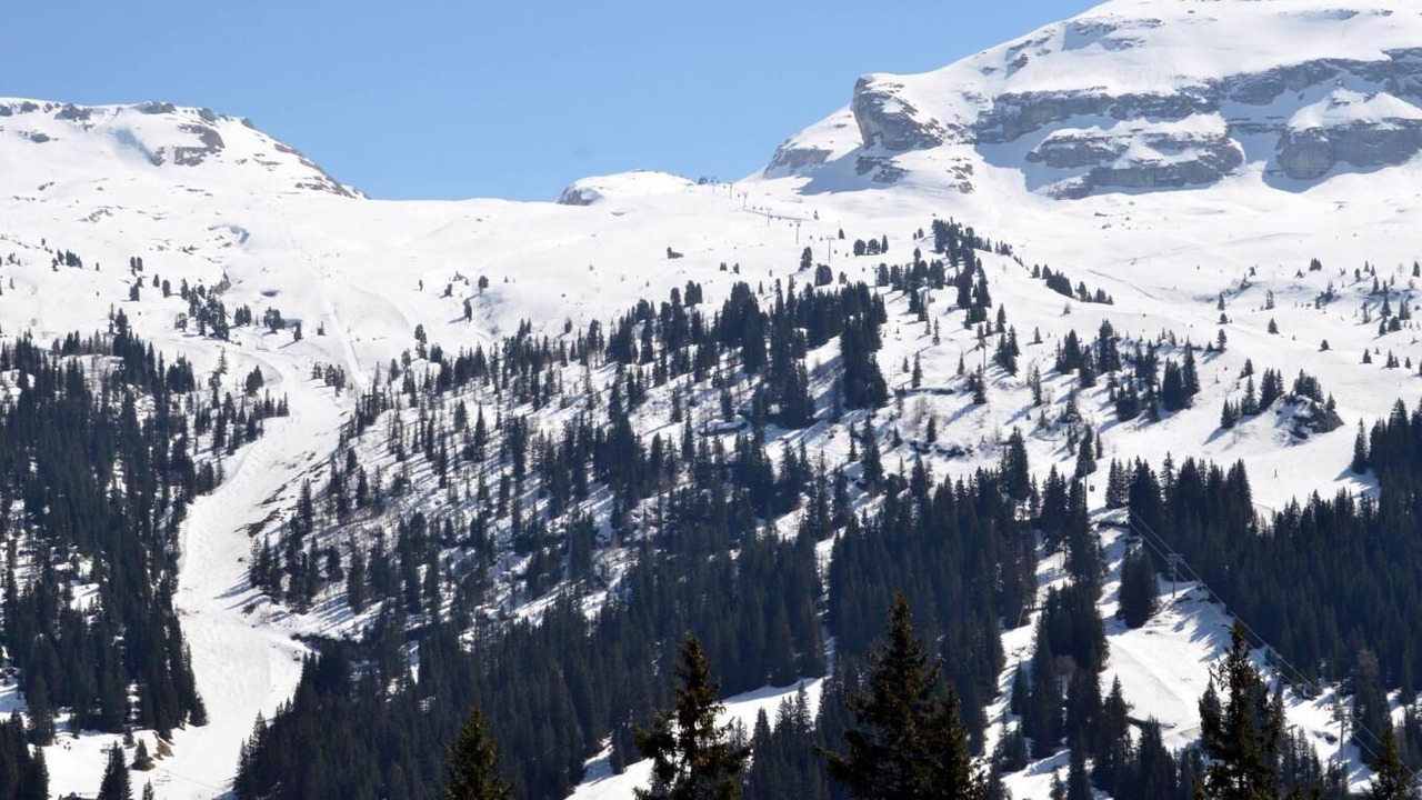 Photo of Others in Flaine