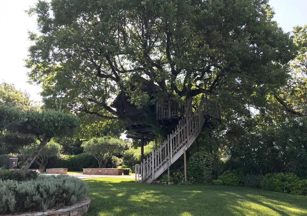 Photo of Outdoor in Trans-en-Provence