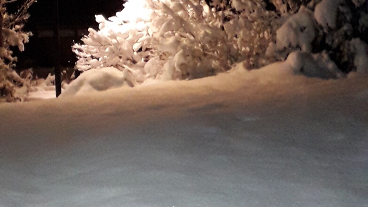 Photo of Outdoor in Cordon