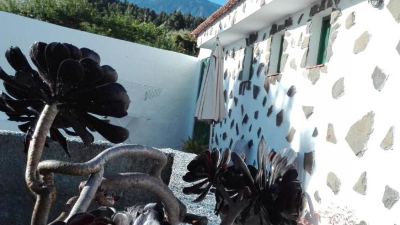 Photo of Outdoor in Icod de los Vinos